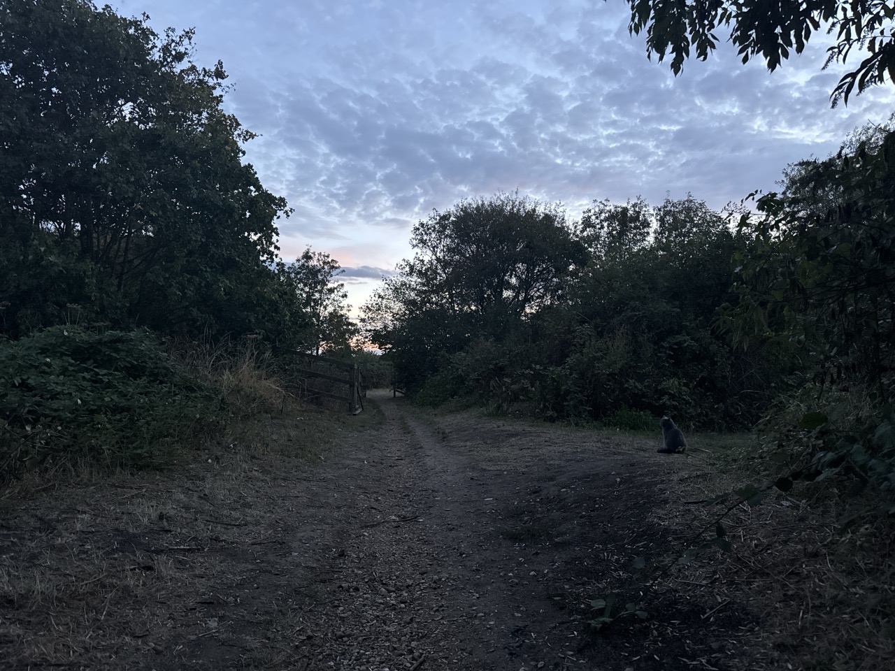 Public photograph for Whitehorse Meadow