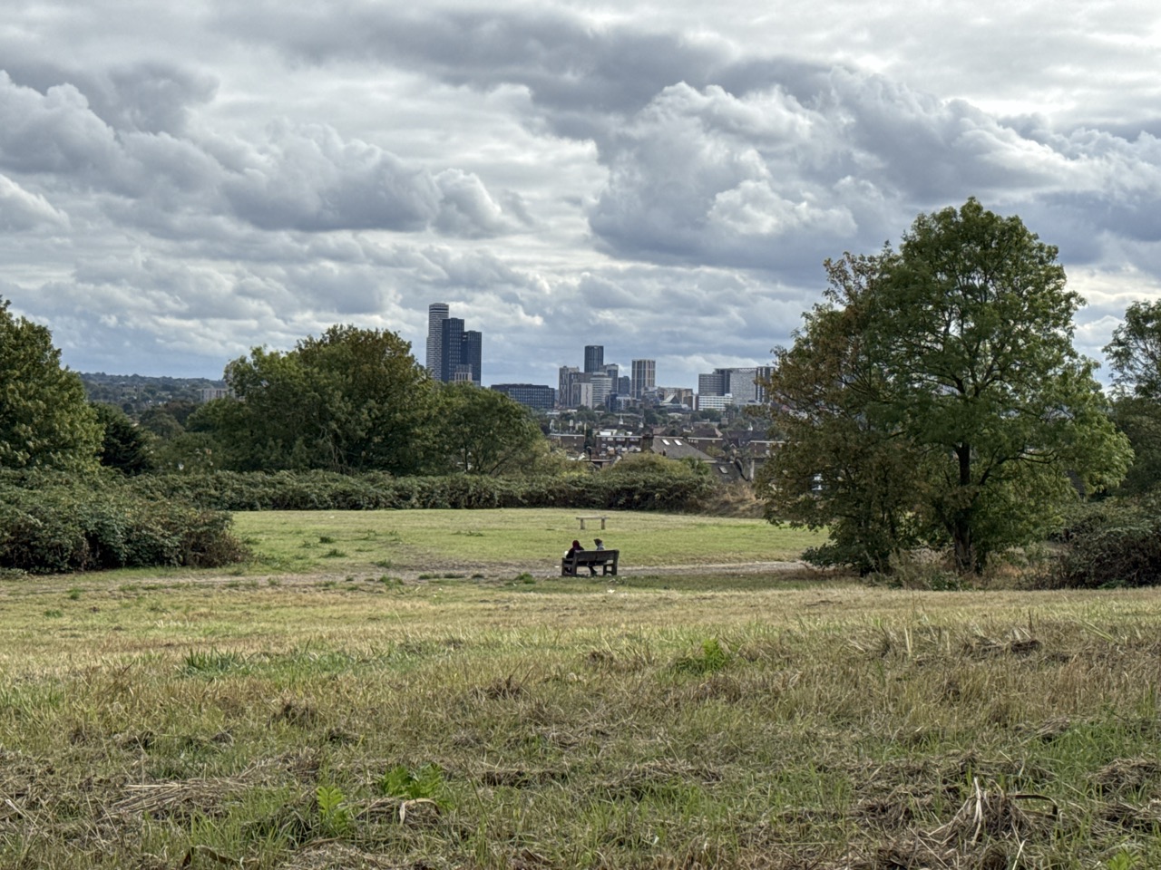 Public photograph for How Nature Sounds Outside The Big City